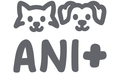 Ani+